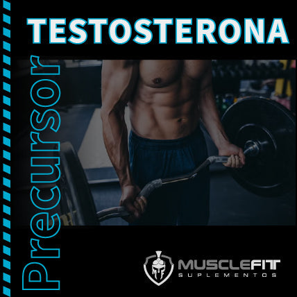 PRECURSOR DE TESTOSTERONA